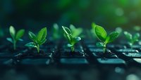 Young green seedlings growing from soil in plastic growing tray, macro view with shallow depth of field and bokeh effect in dark background.
