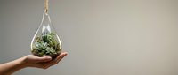 Caucasian hand holding hanging glass teardrop terrarium with succulent plants and moss, isolated on neutral background for design use.