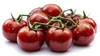 Fresh ripe cherry tomatoes on vine with water drops, bright red color and green stems against white background, macro food photography.