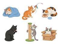 Cute cats in various poses and situations, isolated on white background. Includes sleeping kitten, playful orange tabby with toy, eating cat, black feline, striped kitten on scratching post, and tabby in cardboard box. Perfect for pet-related designs, t-shirts, stickers, and children's illustrations.