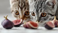 Curious tabby kittens with amber eyes examining fresh figs on light surface, showcasing natural feline behavior and food exploration.