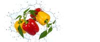 Fresh colorful bell peppers with green leaves splashing in clear water on white background for healthy cooking and nutrition concepts.
