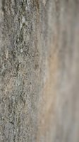 Close-up macro view of rough concrete wall surface with natural texture and weathered patterns, shallow depth of field background for construction projects.