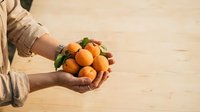 Farmer holding fresh orange citrus fruits with green leaves in hands on wooden surface background.