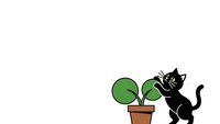 Black cat playing with green houseplant in terracotta pot on white background isolated for design projects and pet-themed graphics.