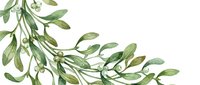Watercolor mistletoe branch with green leaves and white berries, isolated on white background, for Christmas cards and holiday designs.