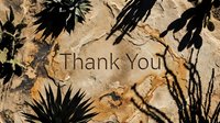 Thank You text engraved on a sandy stone wall with desert plant shadows and succulents, warm natural tones for greeting cards.