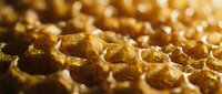 Golden honeycomb with fresh honey dripping, natural hexagonal wax structure close-up macro shot for organic food packaging and healthy lifestyle concepts.
