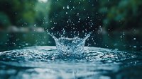 Dramatic water droplet impact creating crown splash formation with flying droplets against dark green natural background.