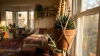 Hanging potted succulent plant in macramé holder near sunlit window with cozy bedroom interior and warm natural light in background.