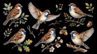 Sparrows in various poses with branches, berries, and acorns, isolated on transparent background. Great for clipart, stickers, t-shirt design, and print on demand.