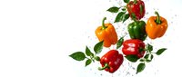 Fresh colorful bell peppers with water splash on white background. Organic vegetables for healthy cooking and diet nutrition concepts.