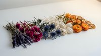 Colorful dried flower bundles arranged on white surface featuring lavender, globe thistle, statice, and marigolds for crafting and decoration.
