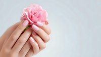 Elegant female hands with pink manicure holding delicate rose flower against light gray background, showcasing nail care and beauty treatment.