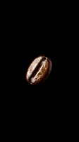 Single roasted coffee bean isolated on black background for cafe menu design and beverage advertising materials.