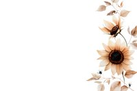 Delicate watercolor sunflowers in soft peach and brown tones with leaves on white background, minimalist botanical composition for stationery and wall decor.
