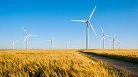 Wind turbines generating clean renewable energy in golden wheat field under clear blue sky for sustainable power production and environmental conservation.