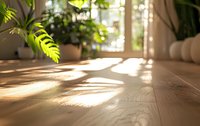 Sunlight casting palm leaf shadows on wooden floor in modern bright interior with window and potted plants, creating cozy atmosphere.