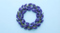 Purple lavender wreath on white background isolated for home decor, aromatherapy and natural wellness design projects.