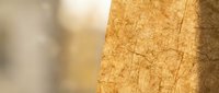 Close-up of natural cork texture with warm golden lighting showing organic surface patterns and grain details for sustainable material backgrounds.