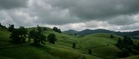 Rolling green hills with scattered trees under dramatic cloudy sky, suitable for nature, landscape, and environmental design projects.