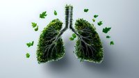 Green leaves arranged in shape of human lungs with branching structure on light background, representing environmental health and natural breathing concept.