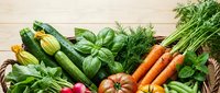 Assorted fresh vegetables including cucumbers, basil, carrots, tomatoes and radishes arranged on wooden surface for cooking and healthy eating.