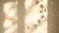 Soft sunlight casts delicate shadows of climbing vine leaves onto neutral wall, creating warm, minimalist aesthetic for modern interior design and wellness content.