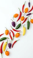 Colorful hot chili peppers scattered on white background. Fresh spicy vegetables in red, orange, purple, green and yellow colors for cooking and seasoning.