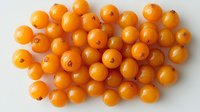 Fresh ripe kumquats scattered on white background, bright orange citrus fruits in natural light, isolated tropical produce for healthy eating and cooking.