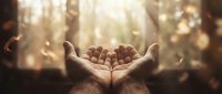 Open palms raised in prayer with soft golden bokeh light and blurred forest background, evoking hope, faith, and spiritual connection.