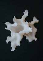 Abstract white organic shape with flowing curves and undulating surfaces against dark background, creating dramatic contrast and depth in macro photography.