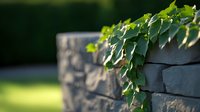 Green ivy leaves cascade over modern stacked stone retaining wall in sunlit garden setting, creating natural architectural contrast between foliage and hardscape.