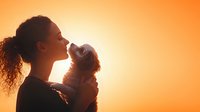 Young African American woman with curly hair holding small fluffy cat against orange sunset sky, creating tender silhouette moment of connection between pet owner and animal.
