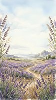 Lavender field landscape with rolling hills, mountains, and winding path through purple flowering plants under cloudy sky, suitable for nature backgrounds and botanical artwork.