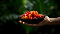 Fresh red and yellow cherries in black decorative bowl held by hand against dark green natural background, dramatic lighting highlights sweet summer fruits.