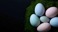 Pastel colored Easter eggs in soft blue and pink shades arranged on fresh green moss against dark background. Natural holiday composition with gentle lighting.