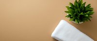 Fresh green succulent plant and white rolled towel on beige background with copy space, minimalist spa and wellness composition for banner design.