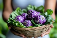 Fresh purple mini cabbages in wicker basket with green leaves, held by hands. Natural organic vegetables from local farm harvest, healthy food concept.