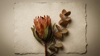 Dried protea flower and eucalyptus branch on textured handmade paper, warm earthy tones, flat lay botanical composition.