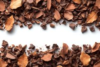 Chocolate pieces and autumn dry leaves creating border frame on white background, copy space in middle. Food and seasonal composition.
