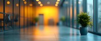 Modern office hallway with warm evening lighting and decorative plant in blue pot, glass walls creating contemporary corporate atmosphere with bokeh effect.