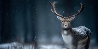 Majestic deer with antlers standing in snowy winter forest during snowfall. Wildlife nature scene with falling snow and dark atmospheric background.