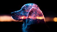 Mystical dog silhouette with cosmic galaxy effect overlay creating dreamy double exposure art. Vibrant blue and pink nebula patterns blend with canine profile against dark background.