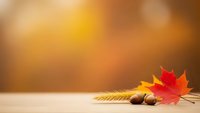 Autumn maple leaves with acorns on wooden table against warm blurred background for seasonal decorations and fall themed designs.