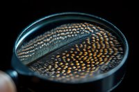 Detailed macro view of spotted feather pattern through magnifying glass on dark background shows natural texture and intricate design in orange and black tones.