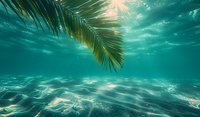 Underwater view of palm leaf against sunlight streaming through turquoise ocean water, creating rippling patterns and sun rays beneath tropical surface.
