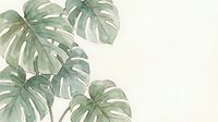 Tropical monstera deliciosa leaves with natural splits and holes on soft beige background for botanical home decor and interior design projects.