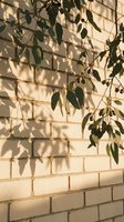Eucalyptus branches casting natural shadows on white brick wall during golden hour sunlight creating organic patterns for interior design and wellness.