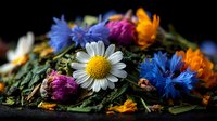 Colorful dried flowers and herbs including chamomile, cornflower, and calendula petals arranged on dark surface for natural wellness and herbal tea blends.